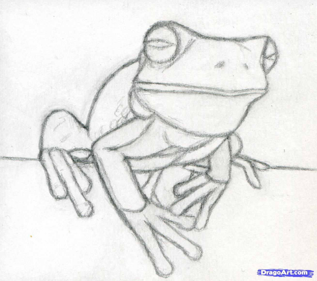 Featured image of post Frog Drawing Cute Realistic