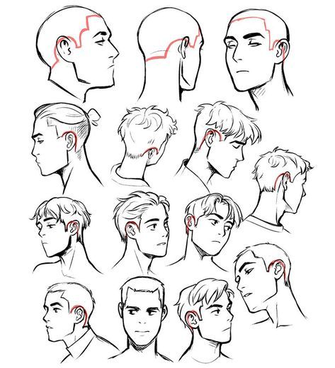 Featured image of post Hair Drawing Reference Male